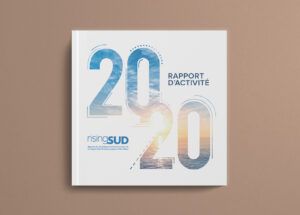 VIGNETTE_RAPPORT_ACTIVITE