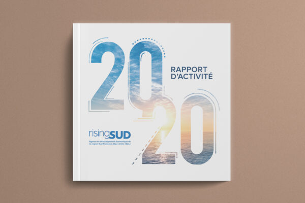 VIGNETTE_RAPPORT_ACTIVITE