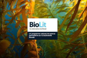 vignette_biolit copie